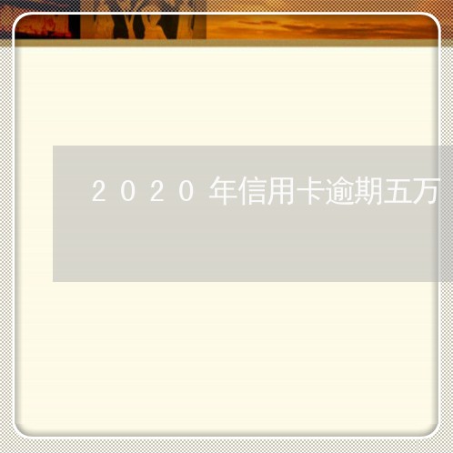 2020年信用卡逾期五万/2023112694937