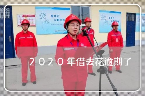 2020年借去花逾期了/2023062362481