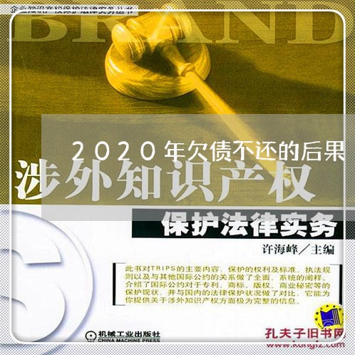 2020年欠债不还的后果/2023102528271