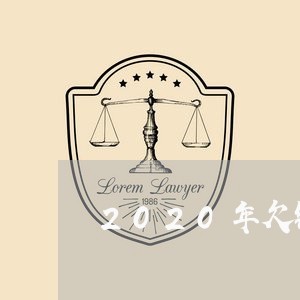 2020年欠钱不还新法规/2023112527271