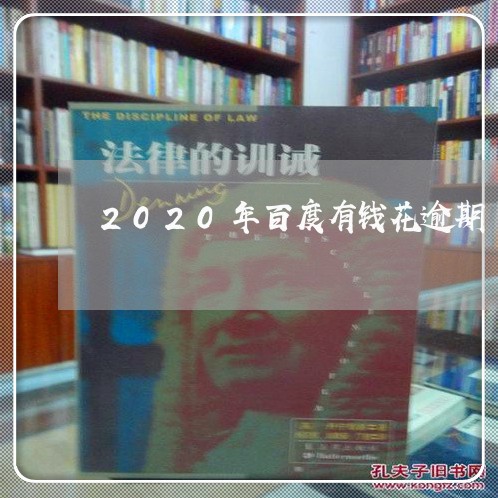 2020年百度有钱花逾期/2023052628048