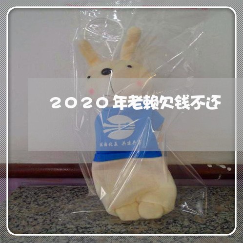 2020年老赖欠钱不还/2023112464713