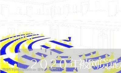 2020年被网贷暴力催收/2023102579484