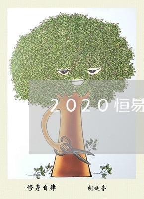 2020恒易贷逾期/2023080397170