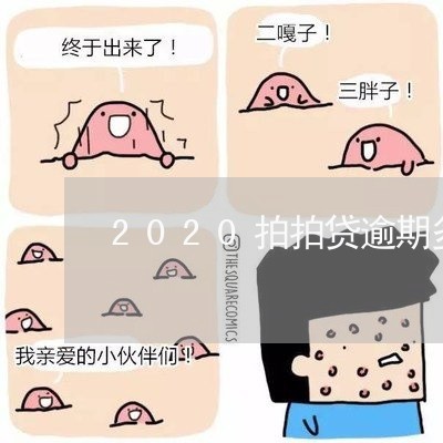 2020拍拍贷逾期多少人/2023052654837