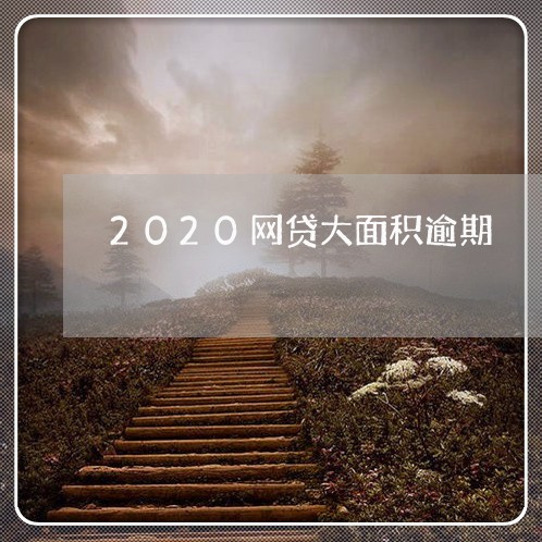 2020网贷大面积逾期/2023103107262