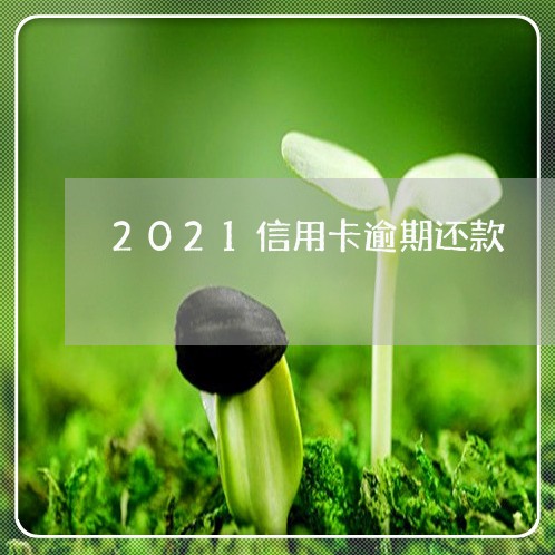 2021信用卡逾期还款/2023051059682