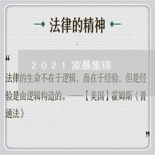 2021家暴集锦/2023100650695