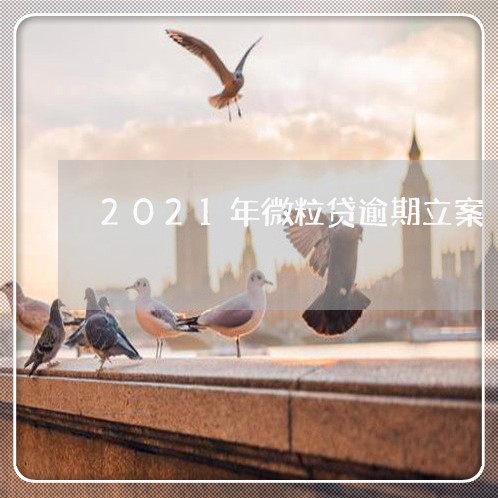 2021年微粒贷逾期立案/2023072424158