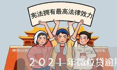 2021年微粒贷逾期立案/2023081596941