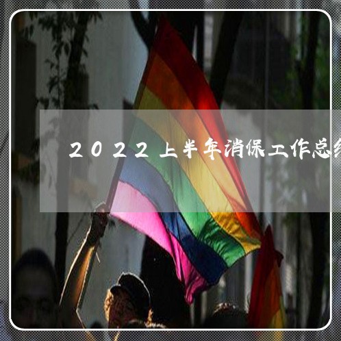 2022上半年消保工作总结/2023032771492