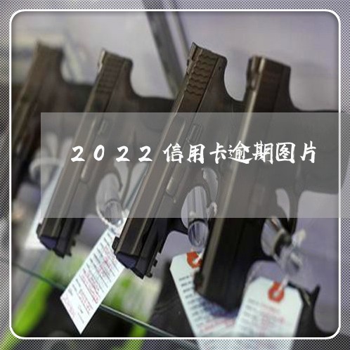 2022信用卡逾期图片/2023112142361