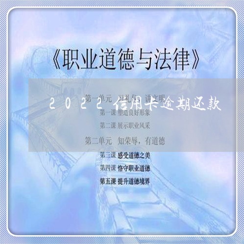 2022信用卡逾期还款/2023062894917