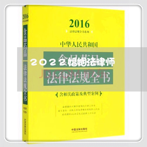 2022婚姻法律师/2023112496817