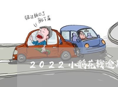 2022小鹅花钱逾期/2023072319481