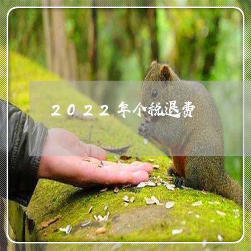 2022年个税退费/2023061868271