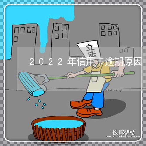 2022年信用卡逾期原因/2023112685819