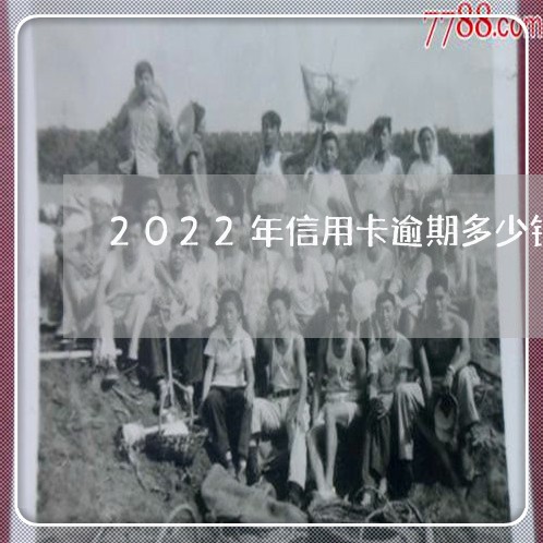 2022年信用卡逾期多少钱/2023050529269