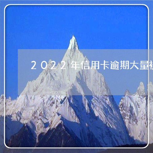 2022年信用卡逾期大量被起诉/2023050697926