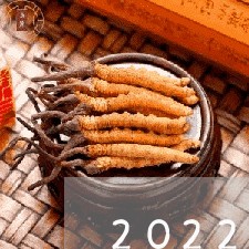 2022年信用卡逾期新政策出台/2023091448180