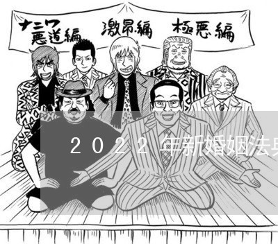 2022年新婚姻法典书单/2023112494938