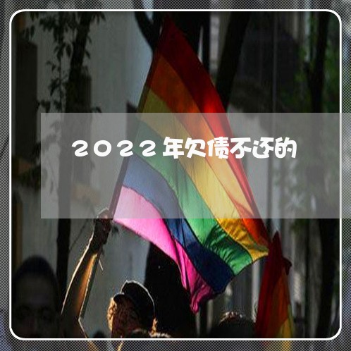 2022年欠债不还的/2023111022684