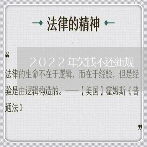 2022年欠钱不还新规/2023111092793