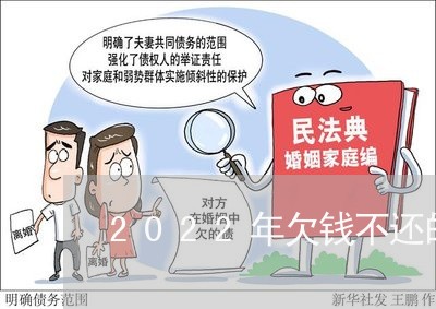 2022年欠钱不还的人/2023111062613