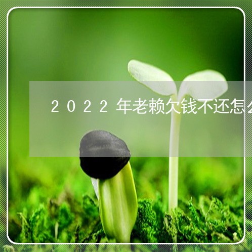 2022年老赖欠钱不还怎么办/2023120584616