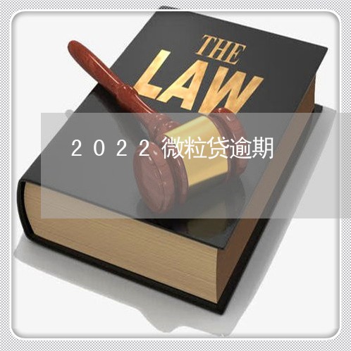 2022微粒贷逾期/2023060993603