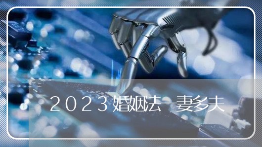 2023婚姻法一妻多夫/2023112449725