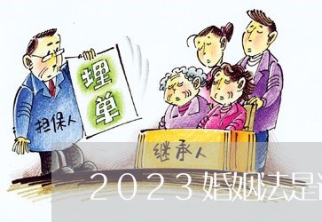 2023婚姻法是谁提出来的/2023112448260