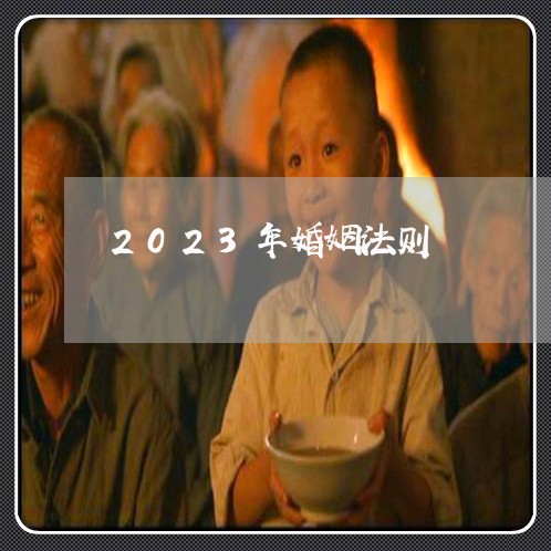 2023年婚姻法则/2023081308484