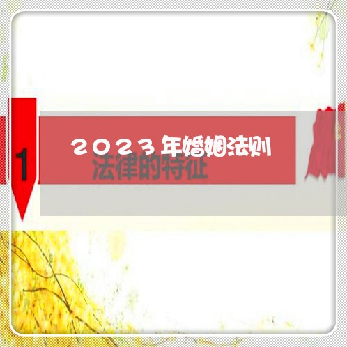 2023年婚姻法则/2023112493914