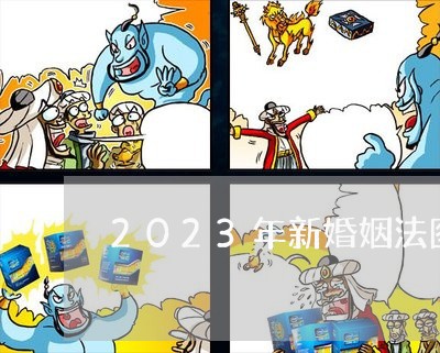 2023年新婚姻法图片/2023112428381