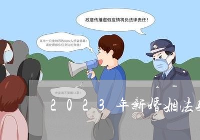 2023年新婚姻法孩子判给谁/2023112405836