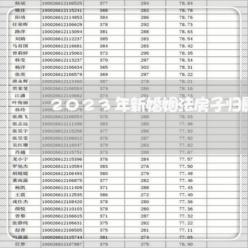 2023年新婚姻法房子归属问题/2023112451725