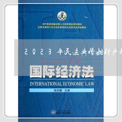 2023年民法典婚姻财产规定/2023081348583