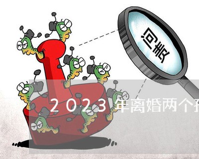 2023年离婚两个孩子怎么判的/2023111597058