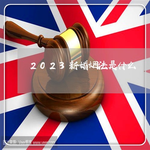 2023新婚姻法是什么/2023081359471