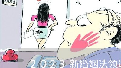 2023新婚姻法领证规定/2023112404047