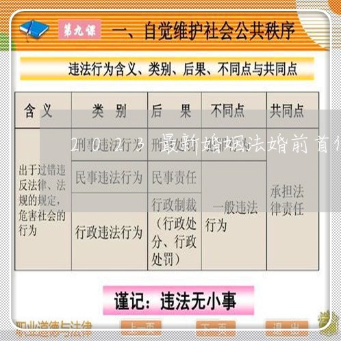 2023最新婚姻法婚前首付/2023112460693