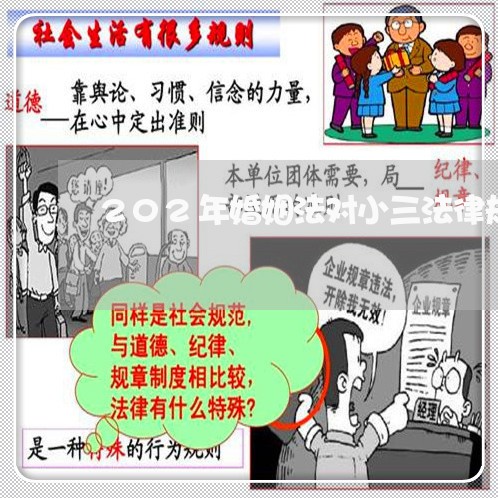 202年婚姻法对小三法律规定/2023081393716