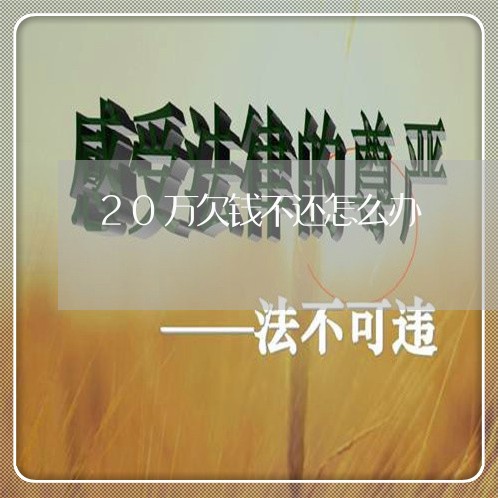 20万欠钱不还怎么办/2023112438380