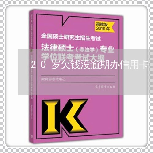 20岁欠钱没逾期办信用卡/2023121726268