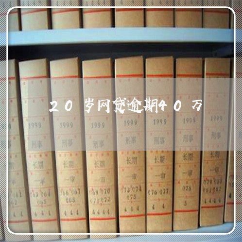 20岁网贷逾期40万/2023110185828