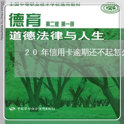 20年信用卡逾期还不起怎么办呢/2023050662493