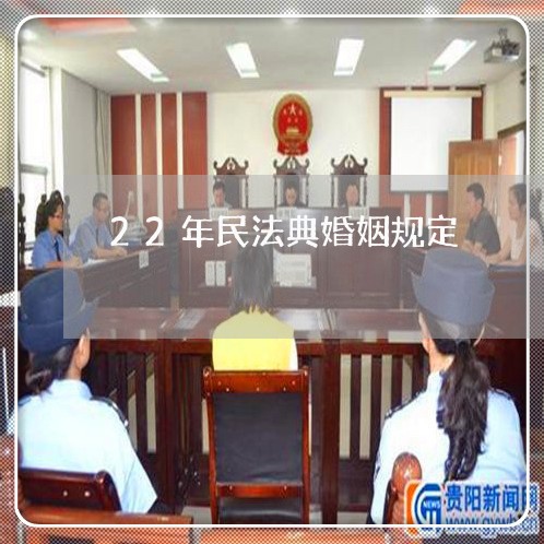 22年民法典婚姻规定/2023112367493