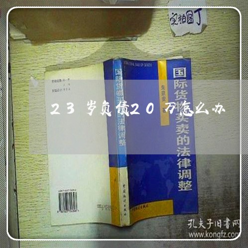 23岁负债20万怎么办/2023061704748