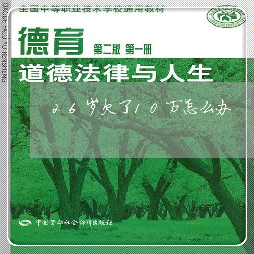 26岁欠了10万怎么办/2023061753948